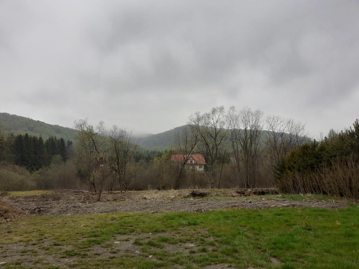 Wiklinowa Zatoka Apartamento Wetlina Exterior foto