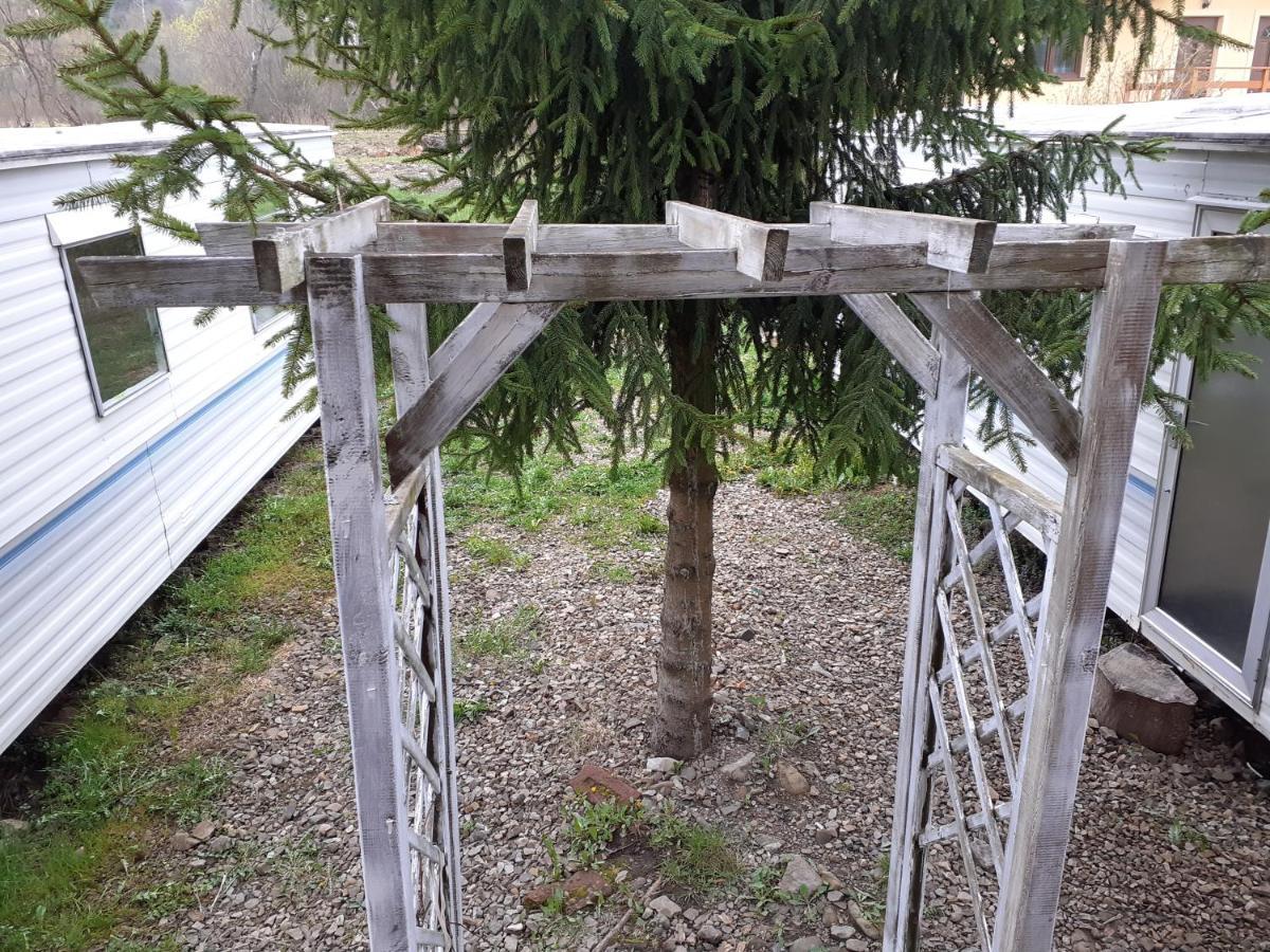 Wiklinowa Zatoka Apartamento Wetlina Exterior foto