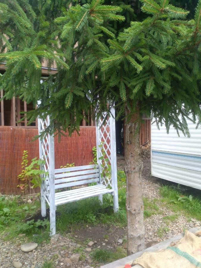 Wiklinowa Zatoka Apartamento Wetlina Exterior foto